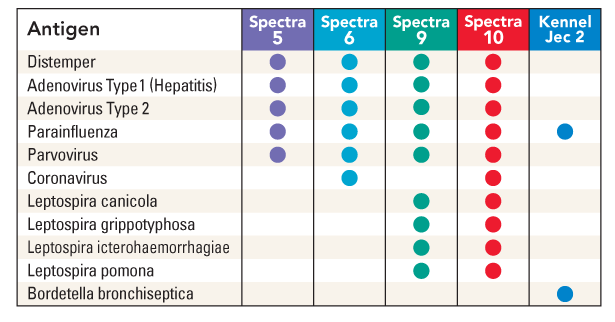 Canine Immunization Chart