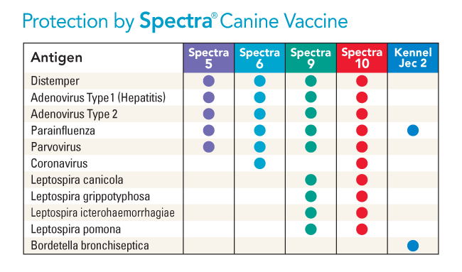 Spectra Vaccine Chart