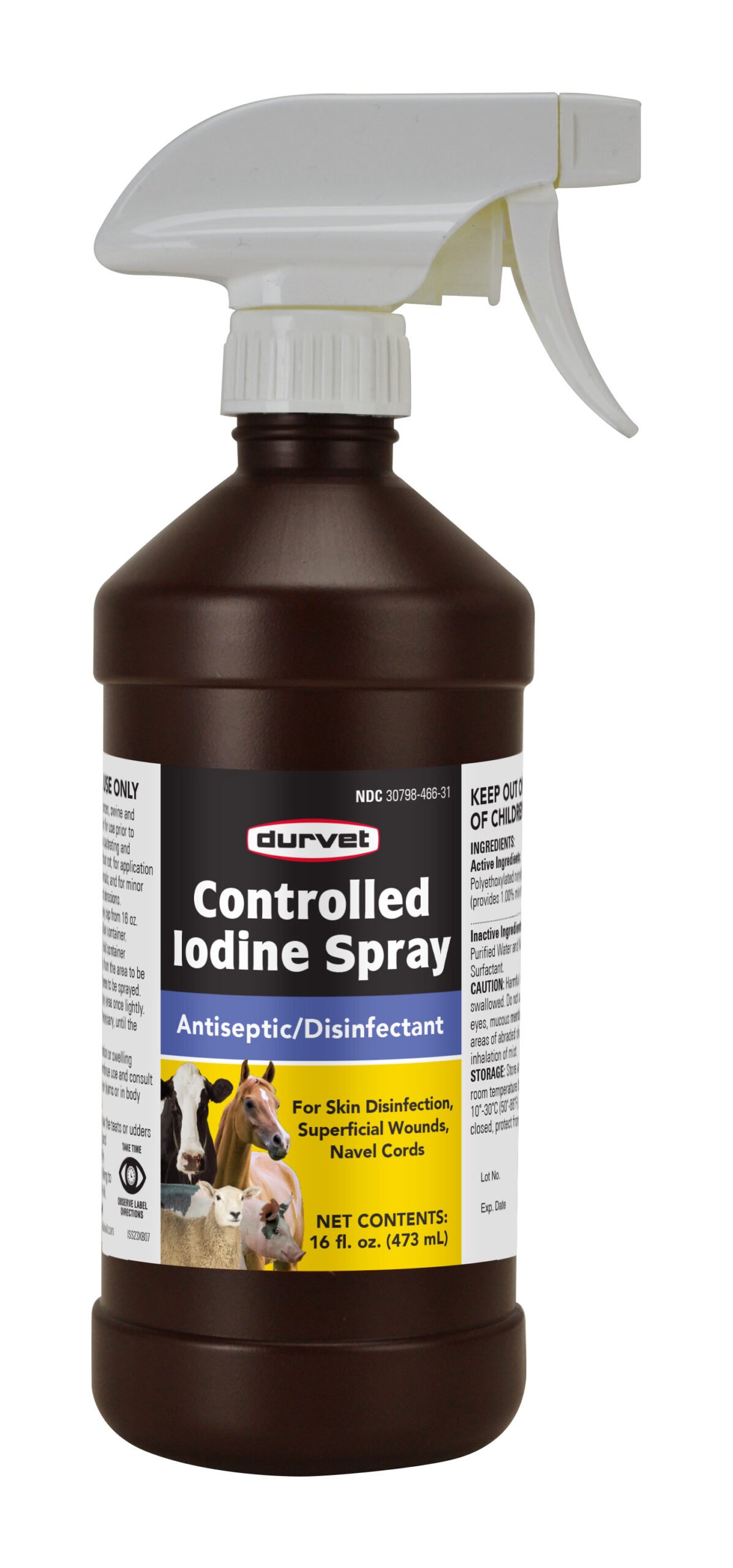 Durvet Chlorhexidine 2% Solution 16oz – Antiseptic For Horses, Dogs (Short Dated)