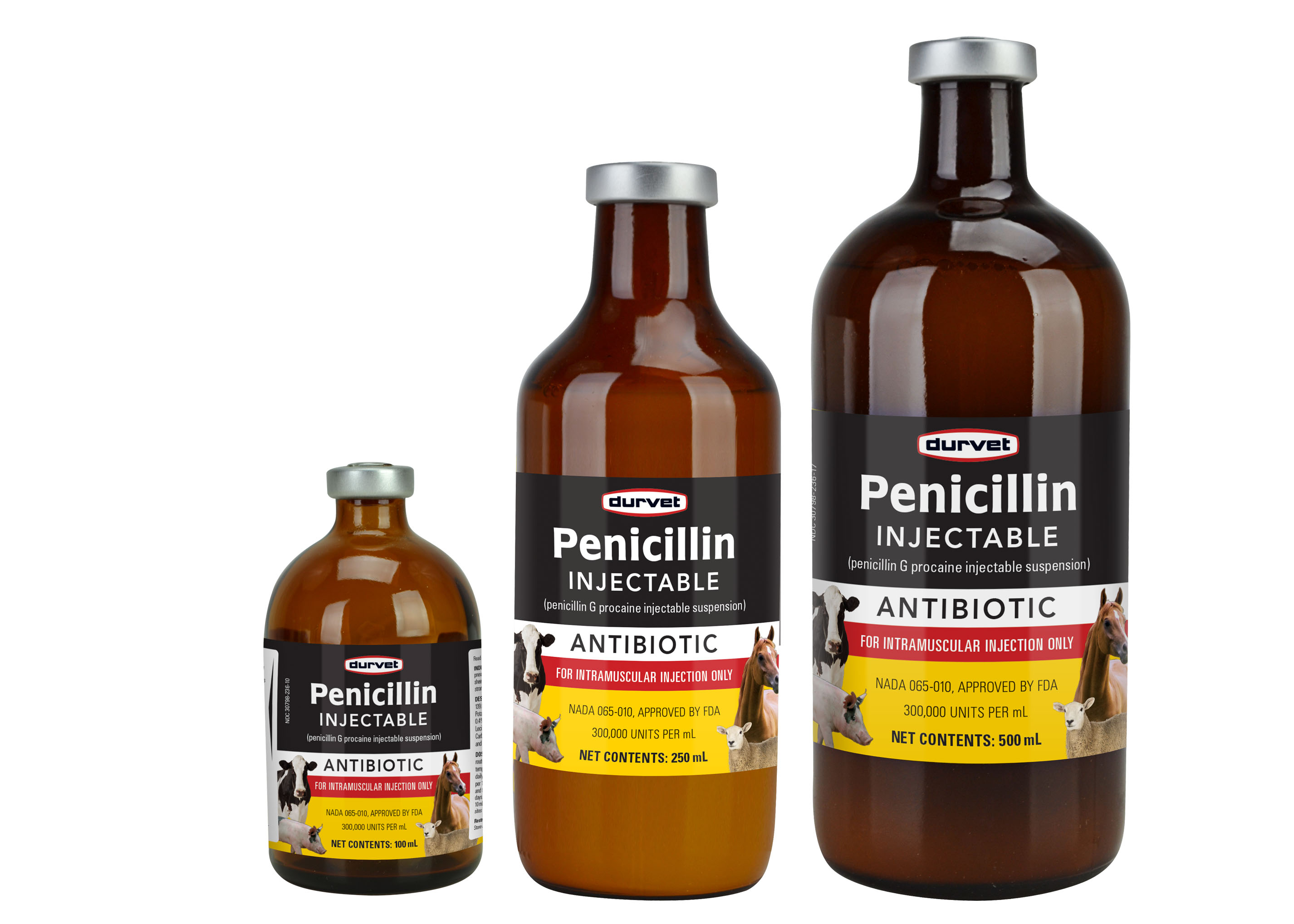 penicillin shot for dogs