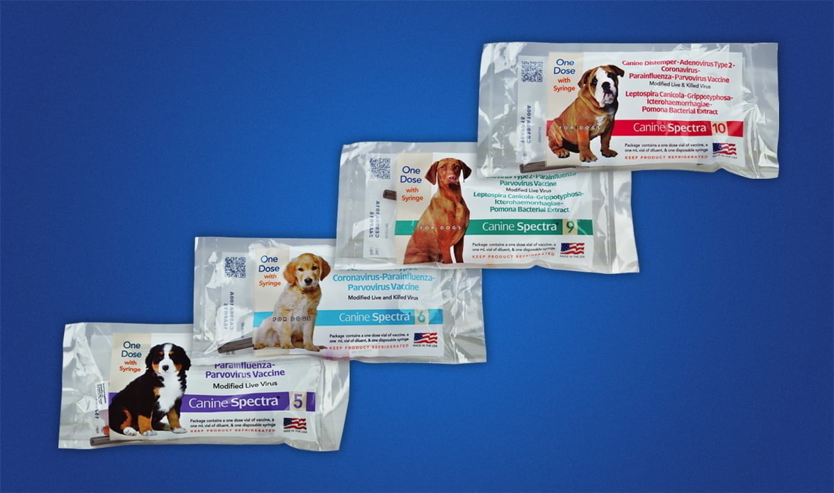 spectra 10 vaccine