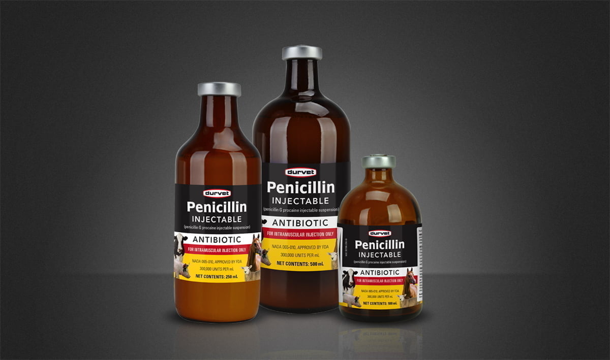 Product Spotlight: Penicillin Injectable - Durvet