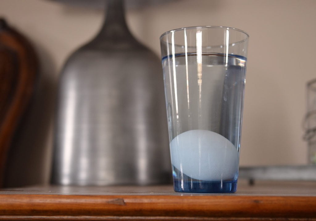 egg float test egg float test