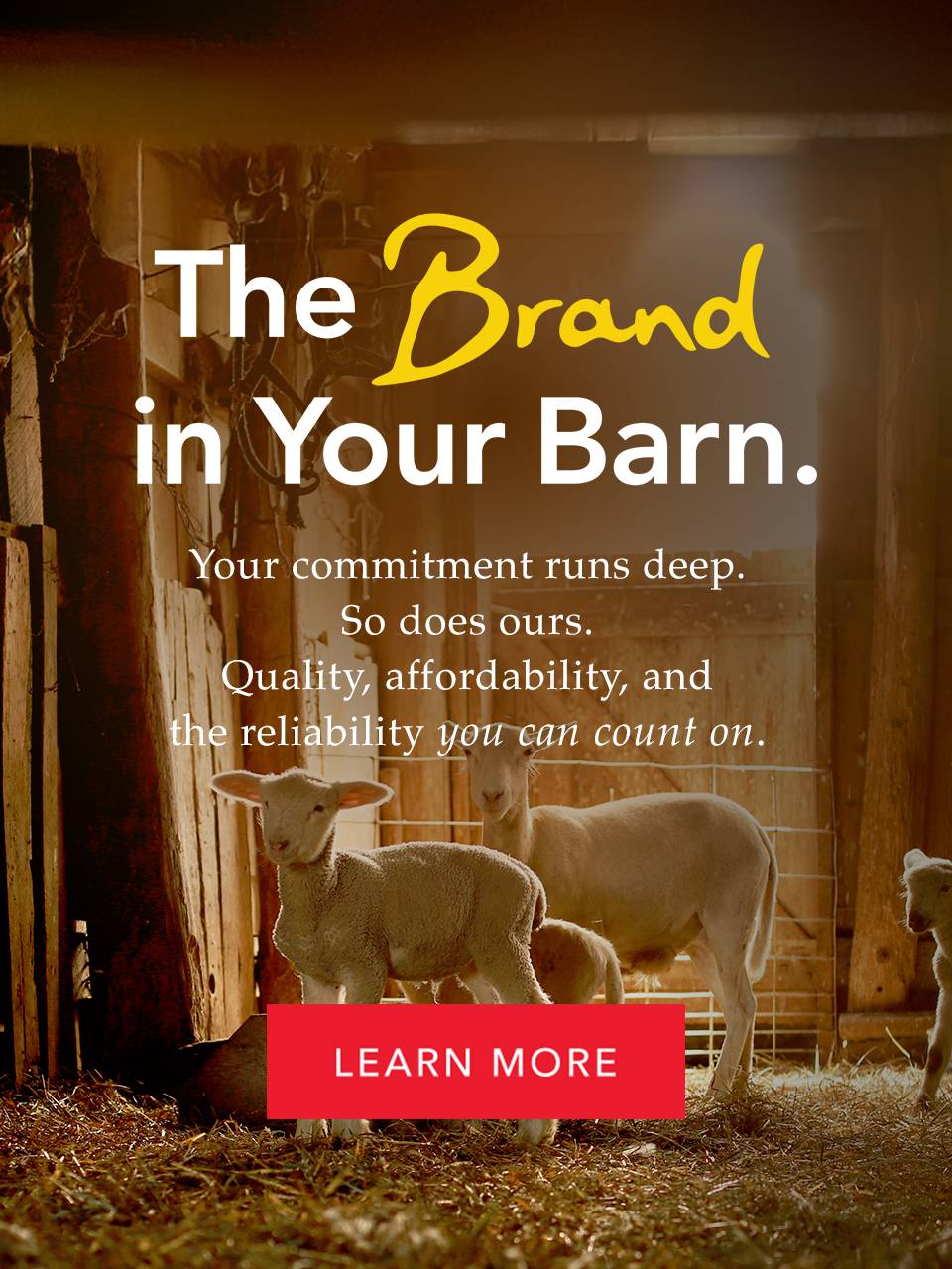 Your commitment runs deep. So does ours. Quality, affordability, and the reliability you can count on.